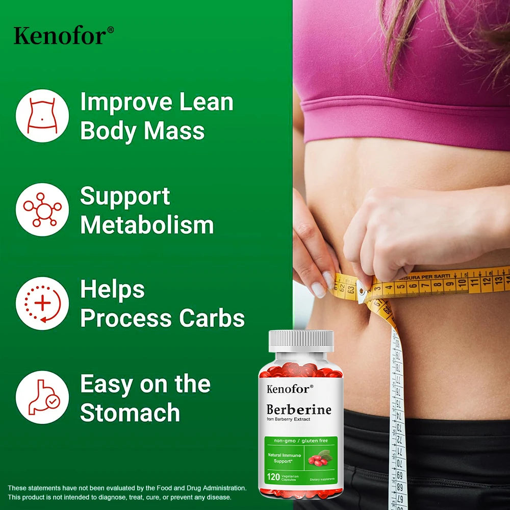 Berberine Supplement-500 Mg Promotes Digestive Antioxidant