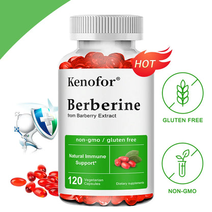 Berberine Supplement-500 Mg Promotes Digestive Antioxidant