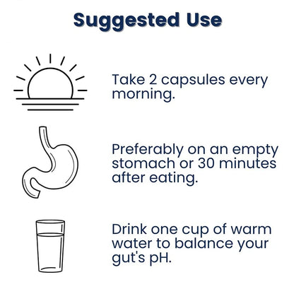 probiotic supplement for gut health