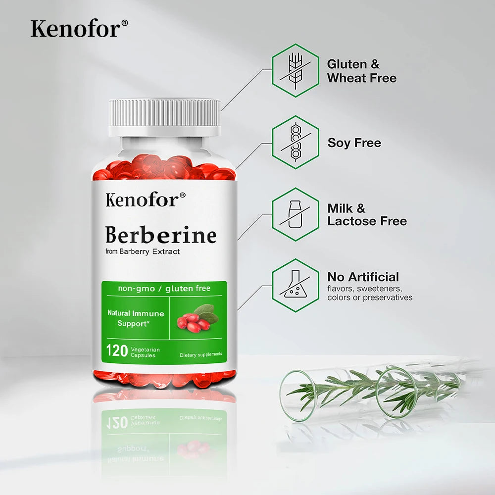 Berberine Supplement-500 Mg Promotes Digestive Antioxidant