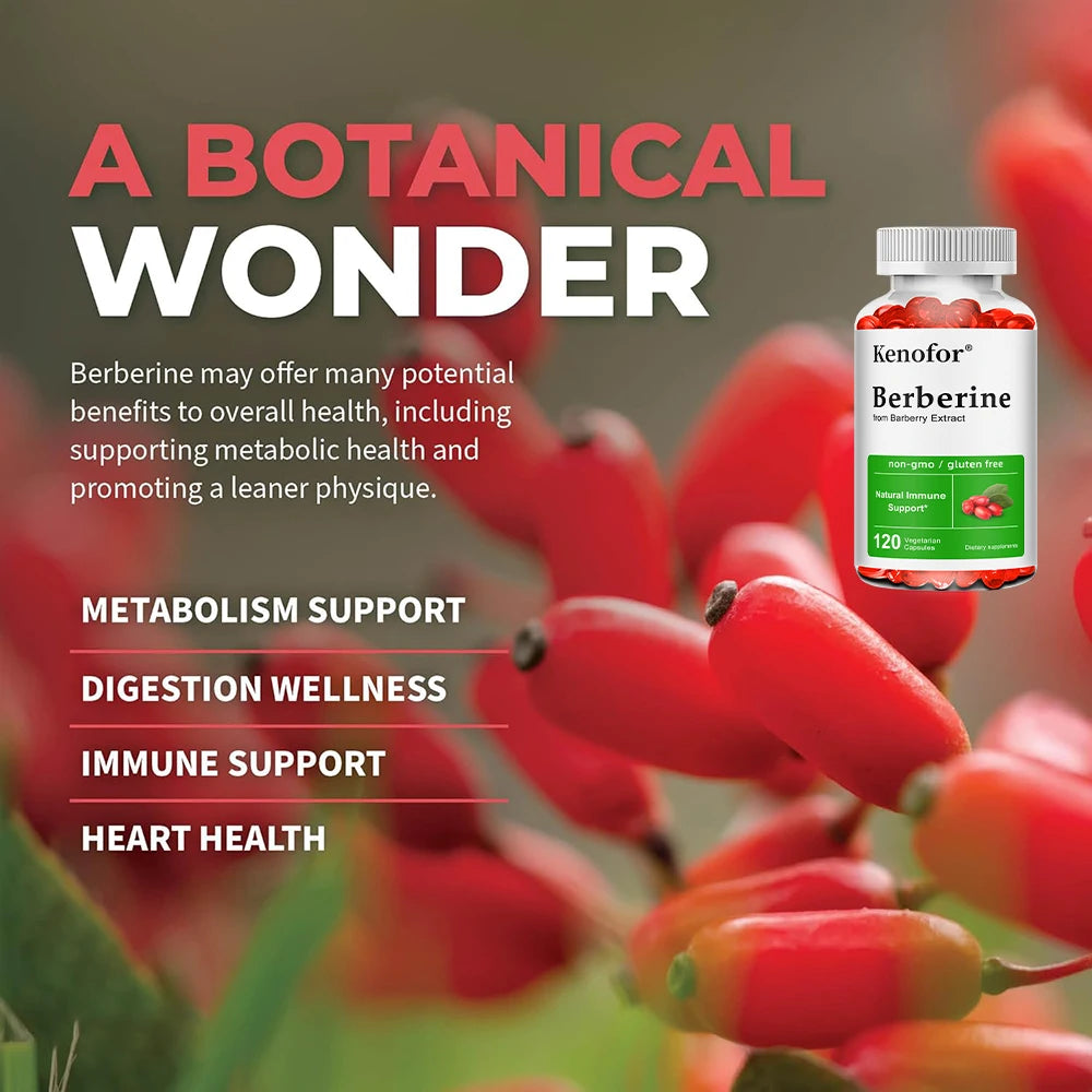 Berberine Supplement-500 Mg Promotes Digestive Antioxidant
