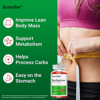 Berberine Supplement-500 Mg Promotes Digestive Antioxidant