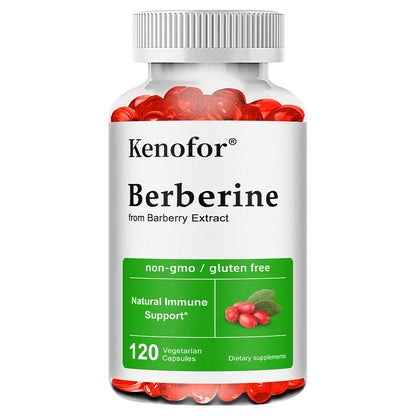 Berberine Supplement-500 Mg Promotes Digestive Antioxidant